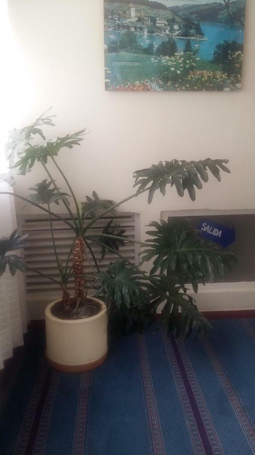 Hotel Catalina Real ドゥイタマ エクステリア 写真